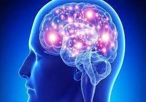 شکل عسل طبیعی در زیر میکروسکوپ+فیلم