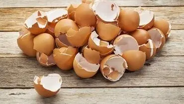 کاربرد شگفت‌انگیز پوست تخم‌مرغ در خانه و باغچه

