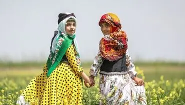 دومین جشنواره کوچ عشایر مغان/ گزارش تصویری
