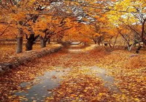 بهترین ساعت خواب و بیداری در فصل پاییز