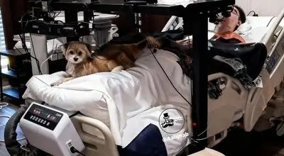 گیمر متفاوتی که نگاه جهان را به خود جلب کرد + فیلم