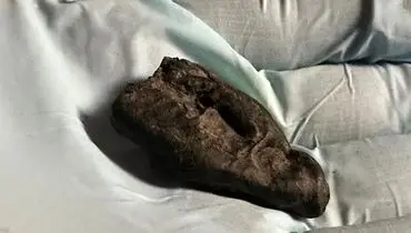 راز آدامس ۱۰ هزار ساله؛ ردپای دختری با چشم قهوه‌‌ای را لو داد + عکس