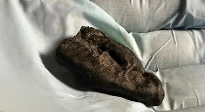 راز آدامس ۱۰ هزار ساله؛ ردپای دختری با چشم قهوه‌‌ای را لو داد + عکس