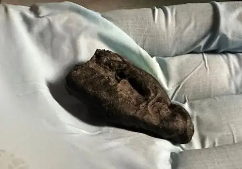 راز آدامس ۱۰ هزار ساله؛ ردپای دختری با چشم قهوه‌‌ای را لو داد + عکس