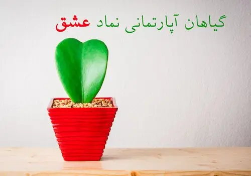 چطور شریک زندگی خود را بهتر بشناسیم؟