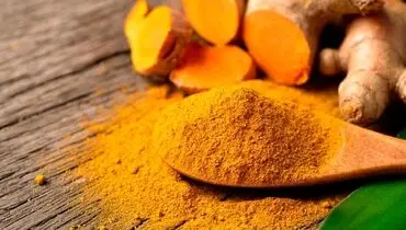 کشف خواص ضدباکتریایی زردچوبه و ریواس؛ حتی قوی‌تر از آنتی بیوتیک