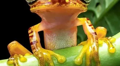 ۱۸ تصویر خارق‌العاده از حیات‌وحش که همه را حیرت‌زده کرد + عکس