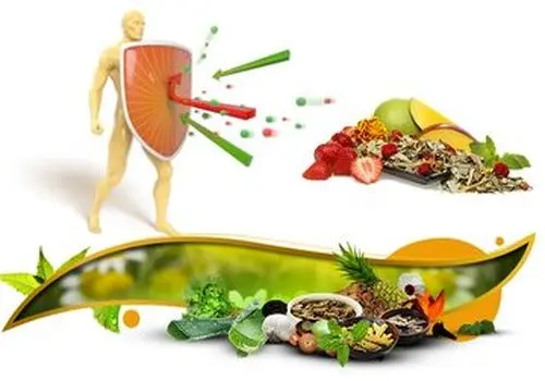 تقویت سیستم ایمنی بدن خود با این ماده غذایی