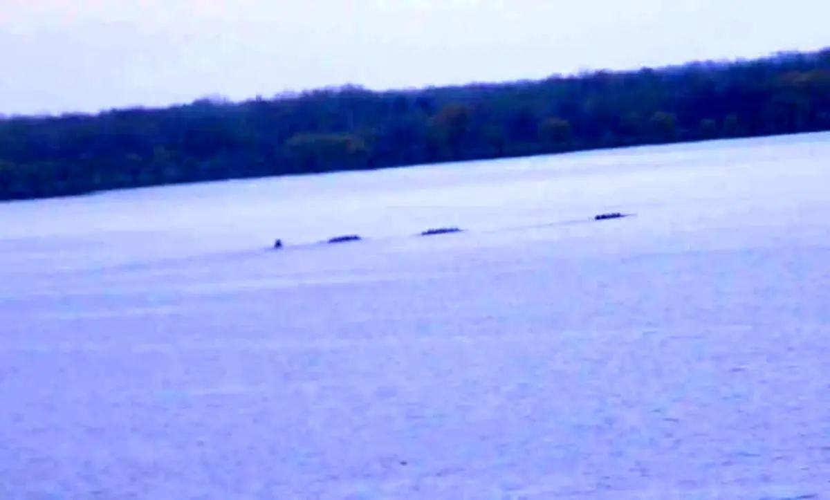 غرش ۳۰۰ ساله‌ی سنکا بالاخره رمزگشایی شد!