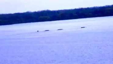 غرش ۳۰۰ ساله‌ی سنکا بالاخره رمزگشایی شد!