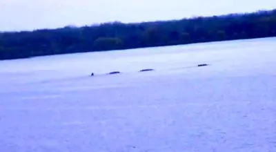 غرش ۳۰۰ ساله‌ی سنکا بالاخره رمزگشایی شد!