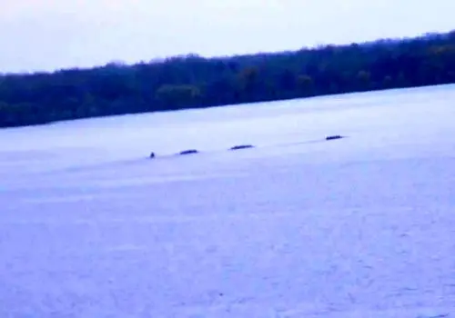 غرش ۳۰۰ ساله‌ی سنکا بالاخره رمزگشایی شد!