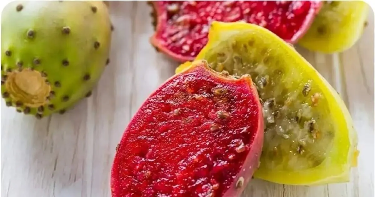 حتی فکرش را هم نمی‌کردید کاکتوس این‌قدر خواص داشته باشد