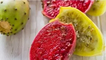 حتی فکرش را هم نمی‌کردید کاکتوس این‌قدر خواص داشته باشد