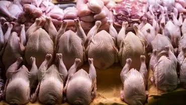 قیمت مرغ امروز چهارشنبه ۵ آذر ۱۴۰۴