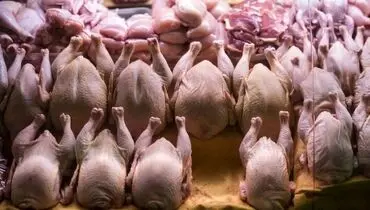 قیمت مرغ امروز چهارشنبه ۵ آذر ۱۴۰۴
