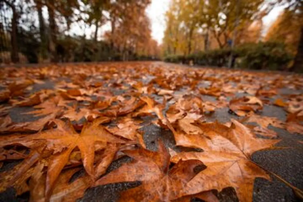 پیشبینی وضع آب و هوا در پاییز ۱۴۰۳