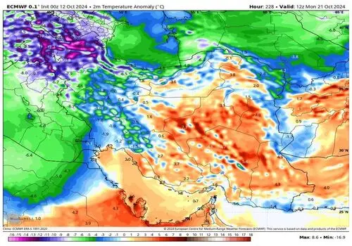 درختی که «پا» دارد و بعضی‌ها می‌گویند «راه می‌رود»