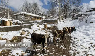 زمستان این روستای ییلاقی را از دست ندهید+ تصاویر