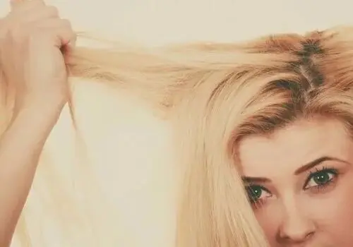  حشره بید چیست و چه آسیبی دارد؟