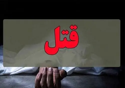عاملان جنایت هولناک در پارک قیطریه بازداشت شدند
