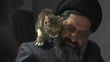 روحانی محبوبی که از سگ‌ها مراقبت می‌کند+تصویر