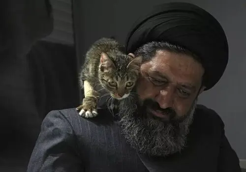 غذا دادن به حیوانات می‌تواند این آسیب‌ها را به همراه داشته باشد