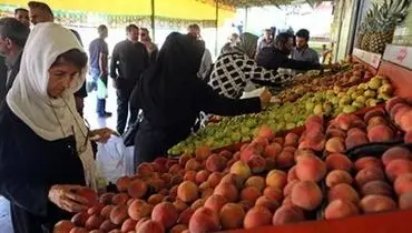 قیمت میوه پایین آمد؛ انگور یاقوتی کیلویی چند؟