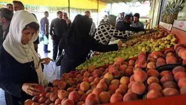 قیمت میوه پایین آمد؛ انگور یاقوتی کیلویی چند؟