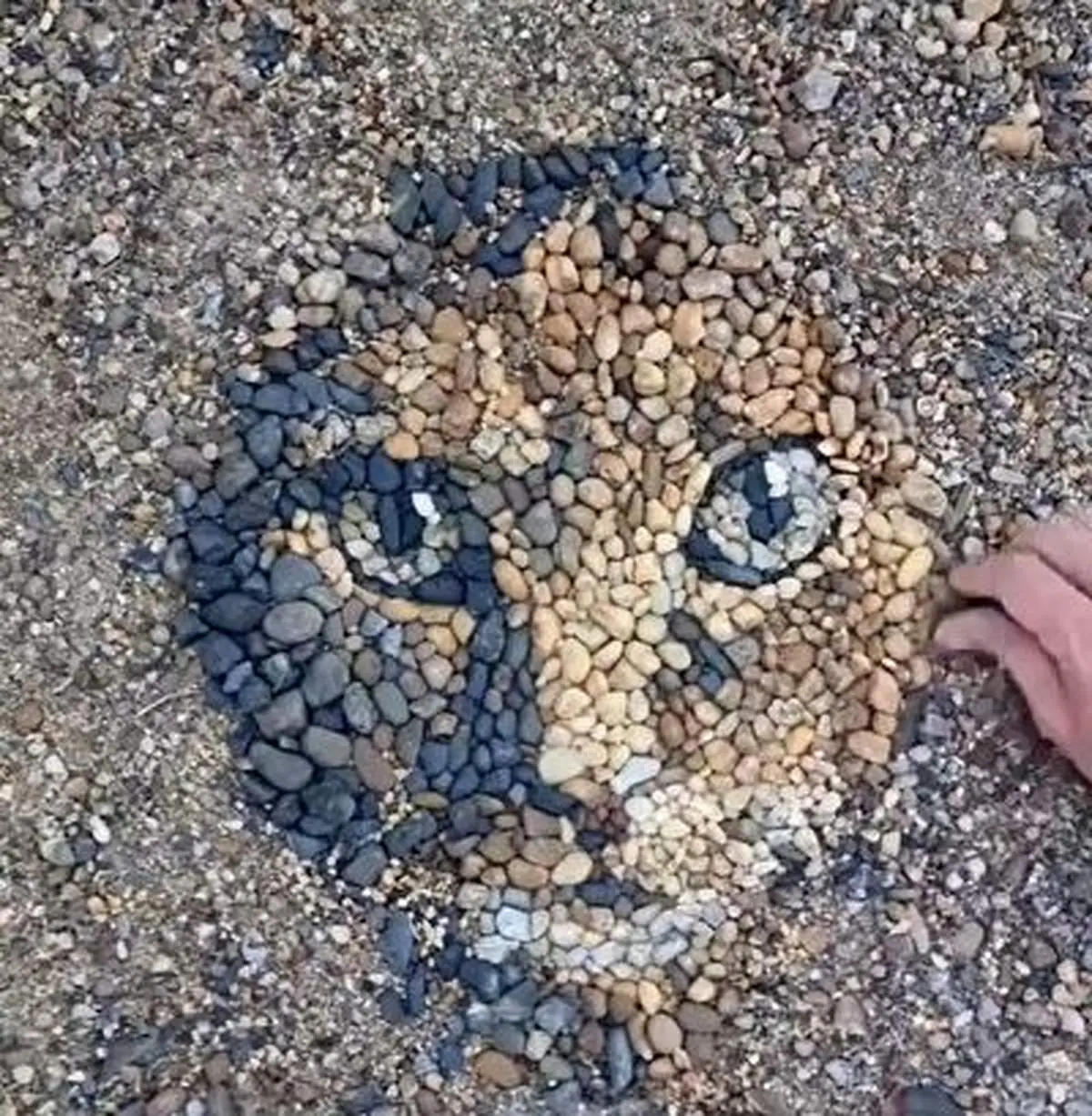 هنرنمایی حیرت انگیز این هنرمند با شن های ساحلی+ فیلم