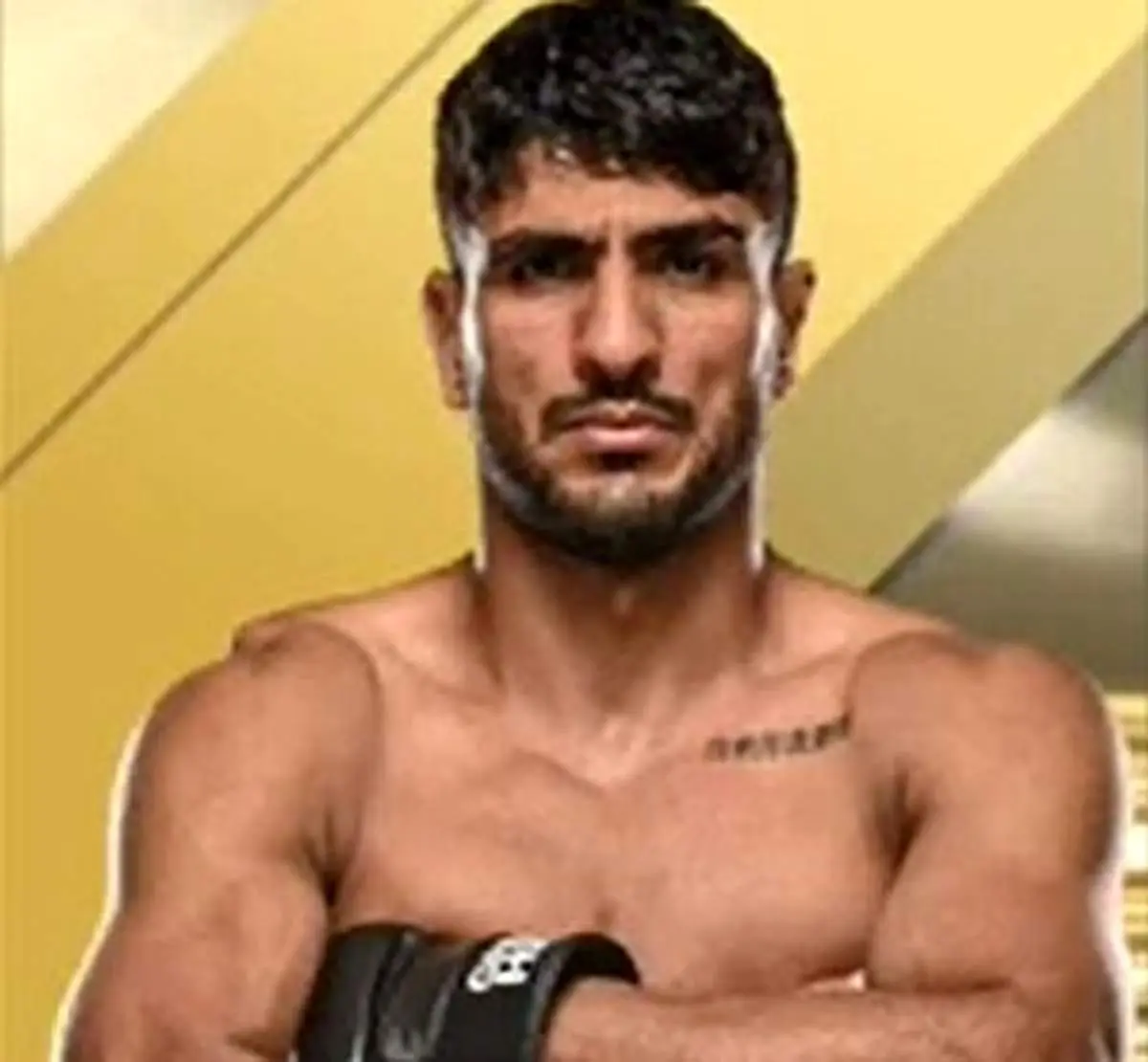 نمایش قدرت ورزشکار ایرانی در MMA+ فیلم