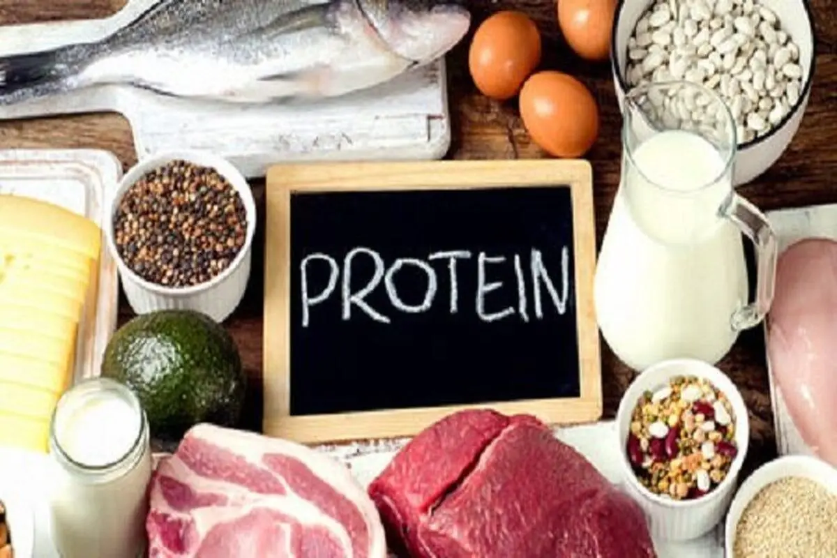 روزانه چقدر پروتئین مصرف کنیم؟