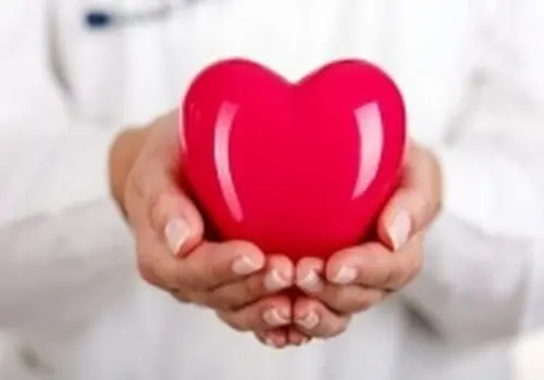 شاتره چه تاثیری بر فشار خون و کلسترول خون دارد؟