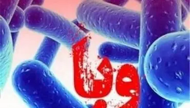 وبا در کمین شما است، لطفا با این نکات پیشگیری کنید