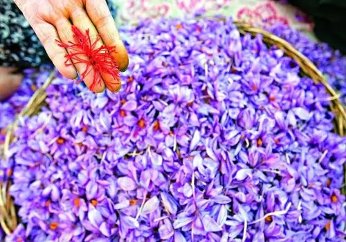 سوپرغذاهایی برای درمان افسردگی