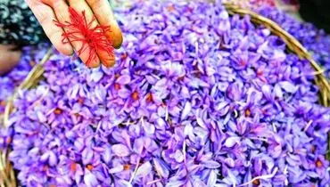 این ادویه درمان افسردگی است