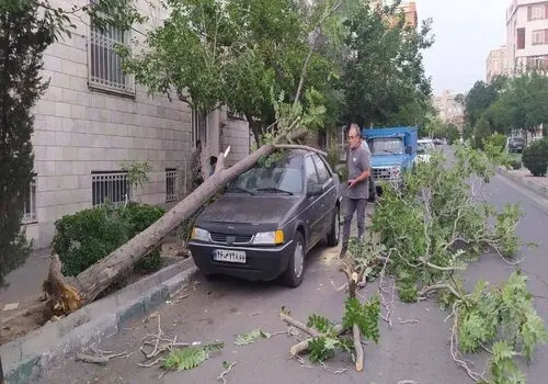 هشدار جدی پلیس راهور به همستربازها