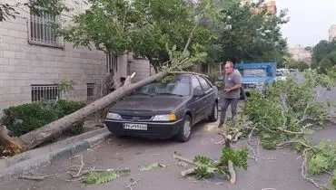 آسیب جدی طوفان به حدود ۵۰۰ دستگاه خودرو در پایتخت