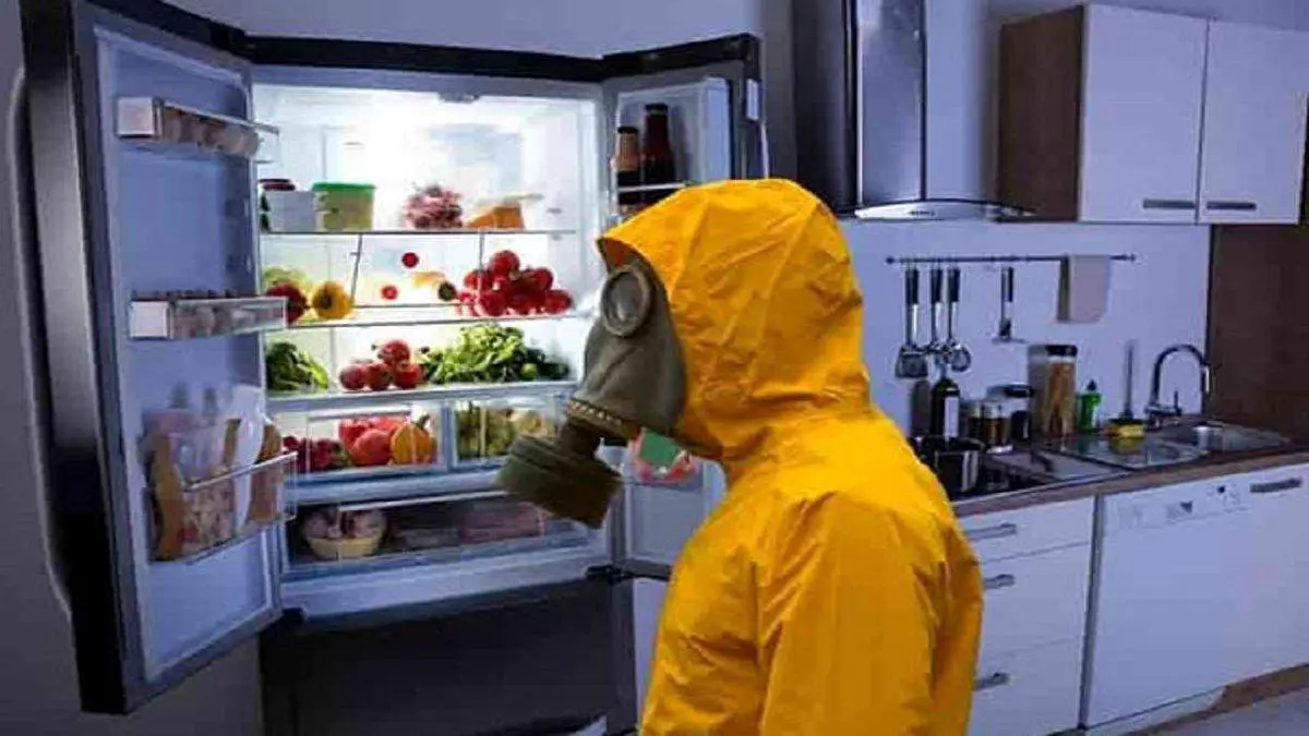 ۹ روش برای رفع بود بد یخچال فریزر