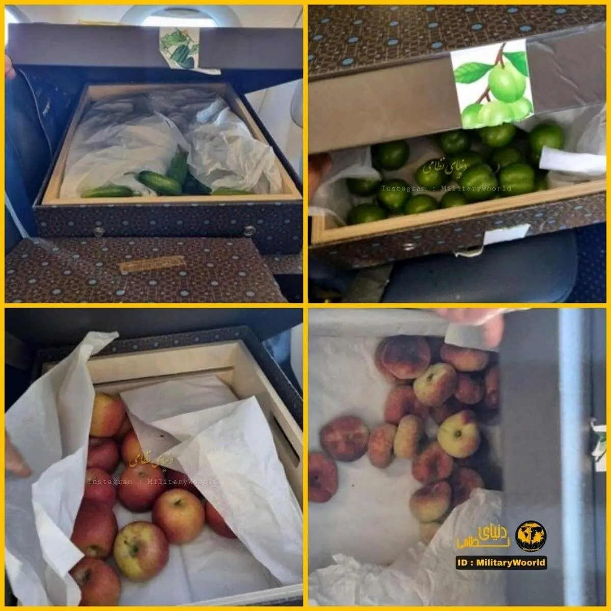 امحا ده‌ها بسته میوه اهدایی «الهام علی‌اف» به رژیم صهیونیستی