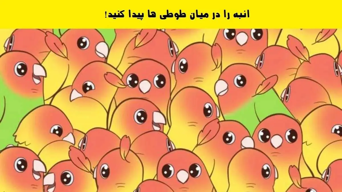 تست بینایی/ انبه را در بین طوطی ها پیدا کنید!