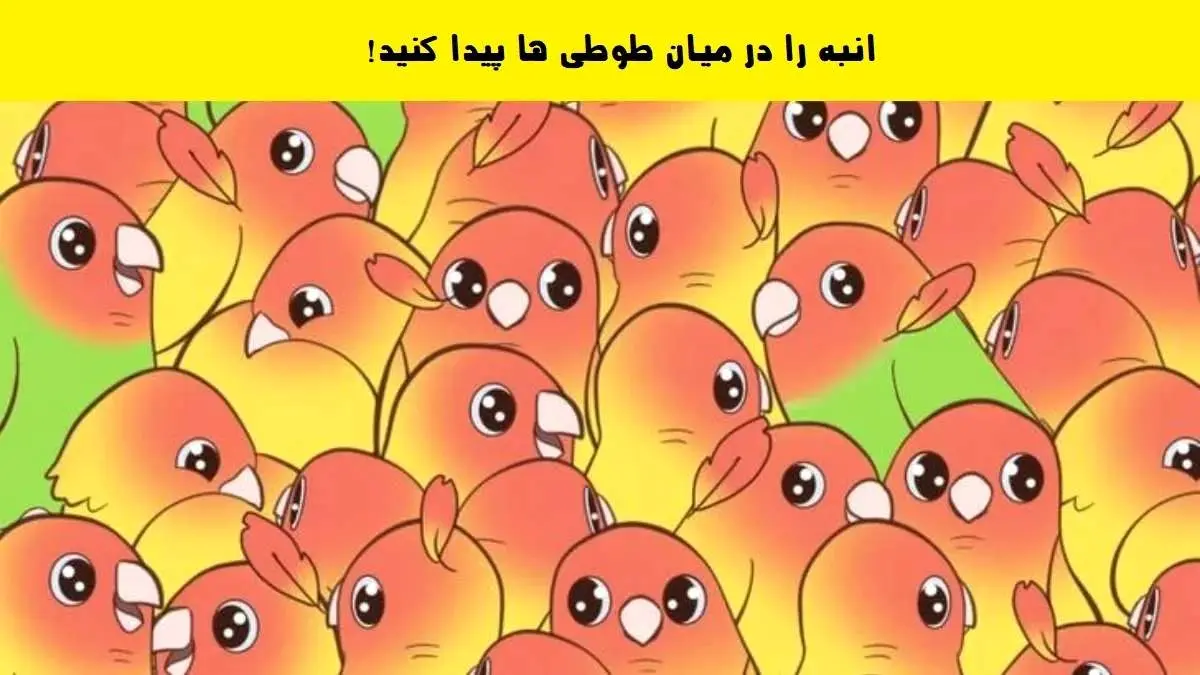 تست بینایی/ انبه را در بین طوطی ها پیدا کنید!