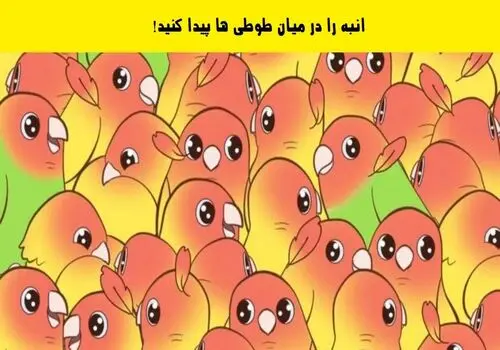 تست بینایی/ چند گربه‌ در این تصویر می‌بینید؟
