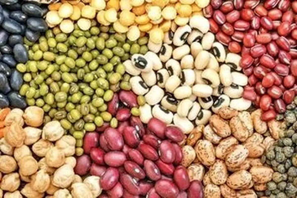 قیمت یک کیلو لوبیا معادل یک سیخ کباب!