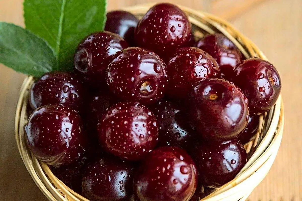 خواص باورنکردنی « گیلاس » برای سلامتی که شاید از آن بی خبرید