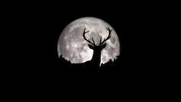 زیبایی ماه امشب را از دست ندهید+عکس