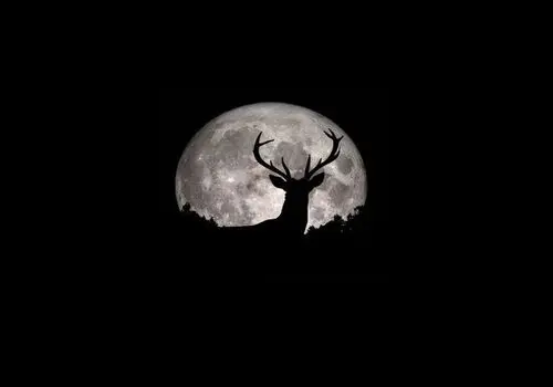 رصد این صور فلکی در آسمان شب بدون هیچ تجهیزاتی ممکن است
