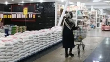 واردات برنج ممنوع شد