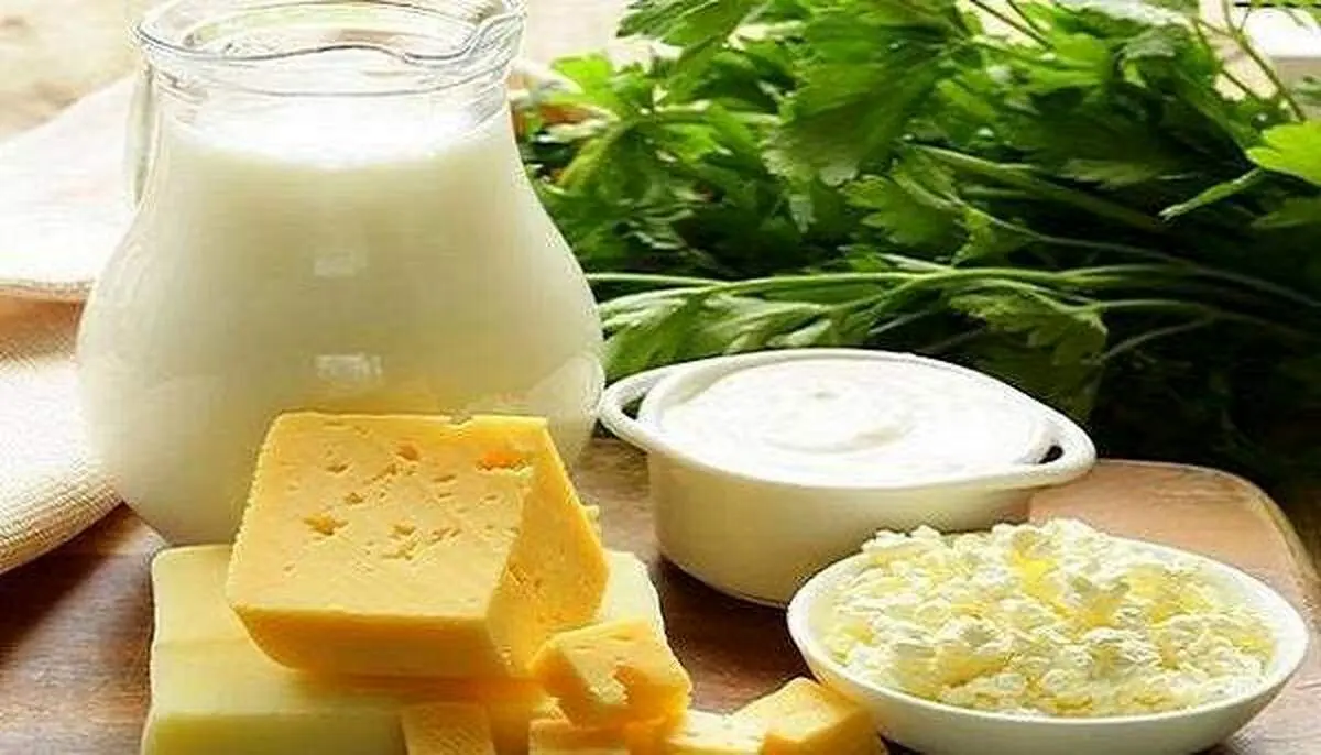 معجزه ای به نام «پروبیوتیک» در درمان افسردگی