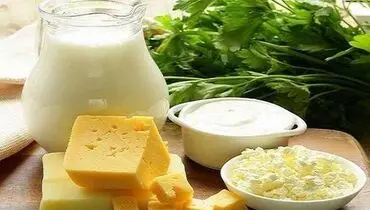 معجزه ای به نام «پروبیوتیک» در درمان افسردگی